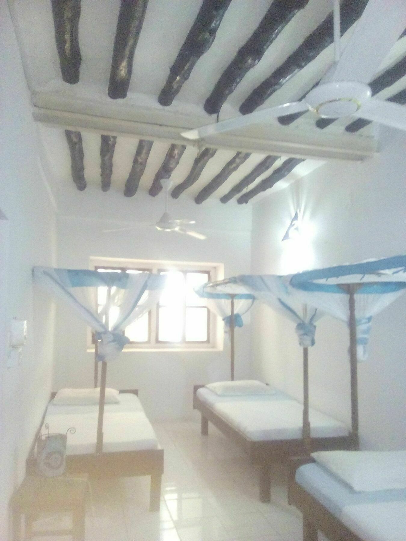 Zanzibar Kiponda B&B מראה חיצוני תמונה