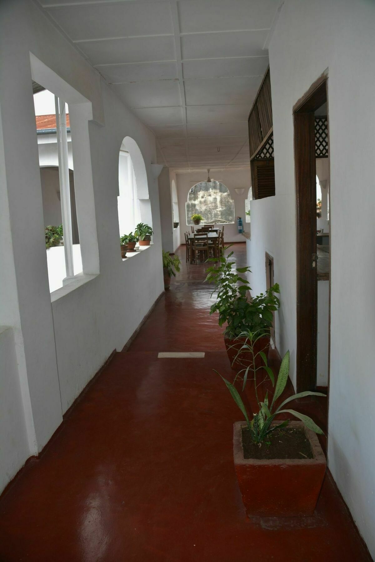 Zanzibar Kiponda B&B מראה חיצוני תמונה